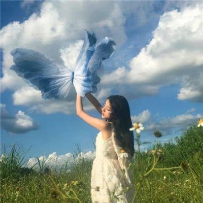 长安的荔枝